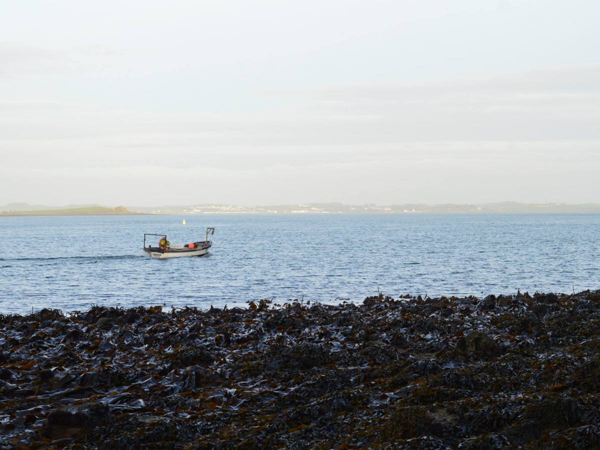 Ocean optimism on #WorldOceanDay: A Northern Ireland perspective
