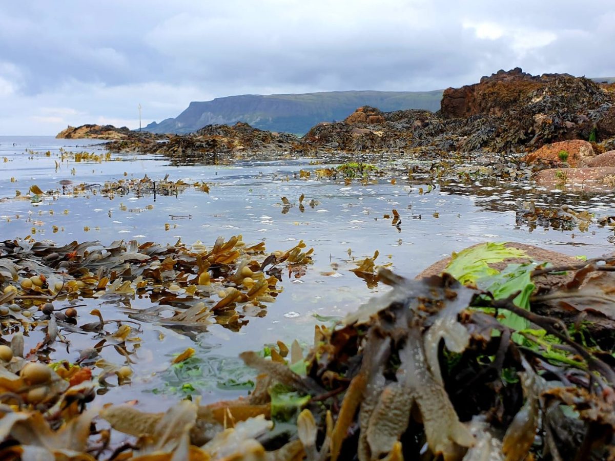 Northern Ireland’s Political Seascape